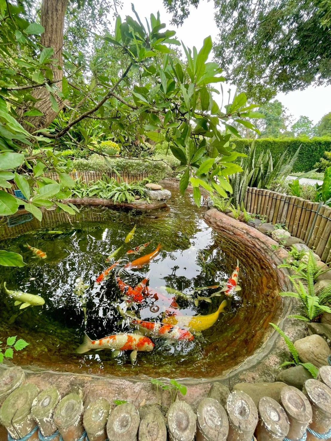 River Valley Resort แอทน่าน Luaran gambar